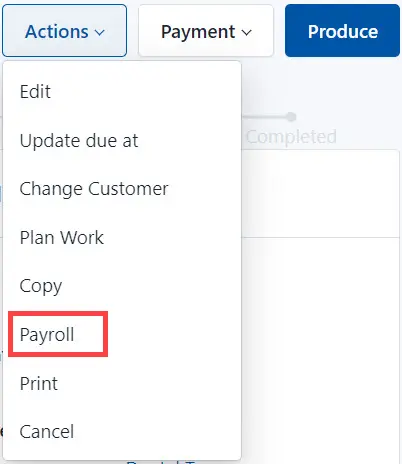 Select Payrol from the list